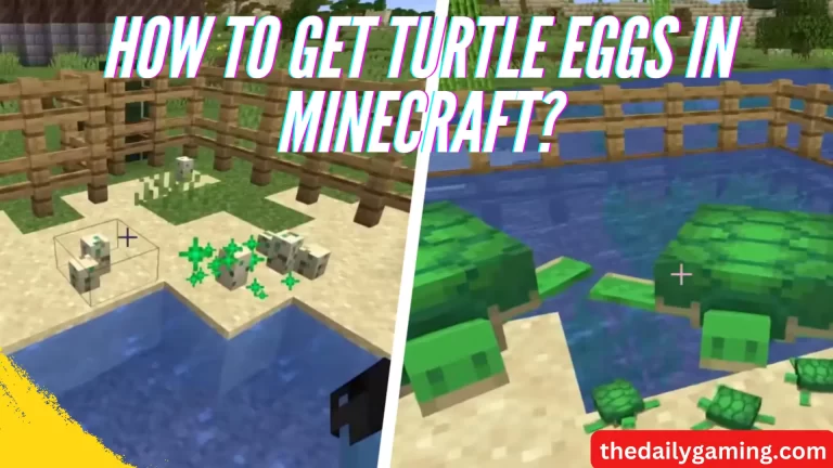 How to Get Turtle Eggs in Minecraft?