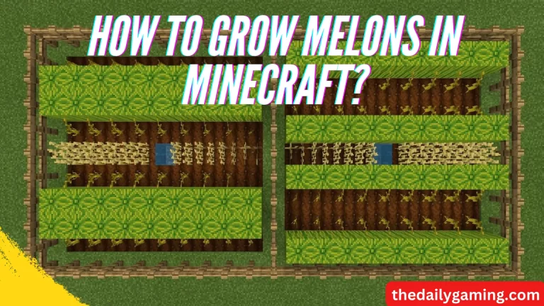 How to Grow Melons in Minecraft?