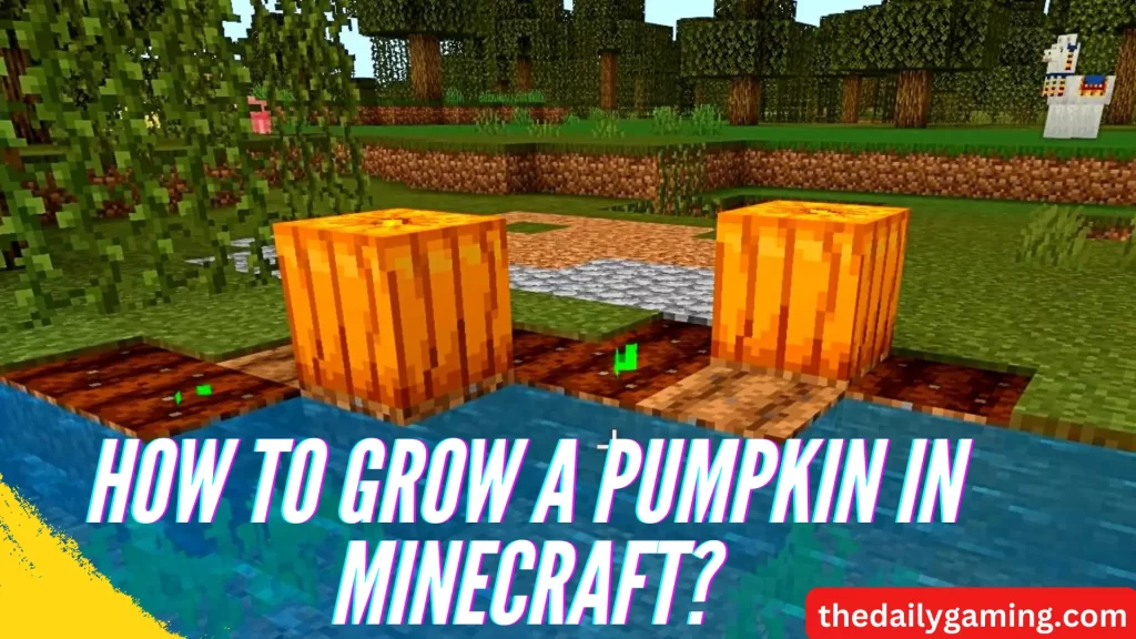 How to Grow a Pumpkin in Minecraft?
